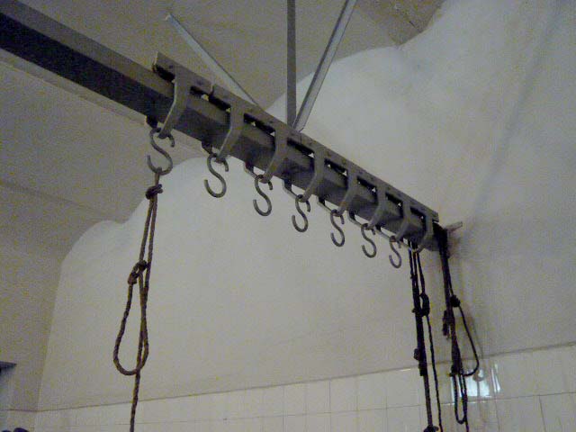 P1000192u.jpg