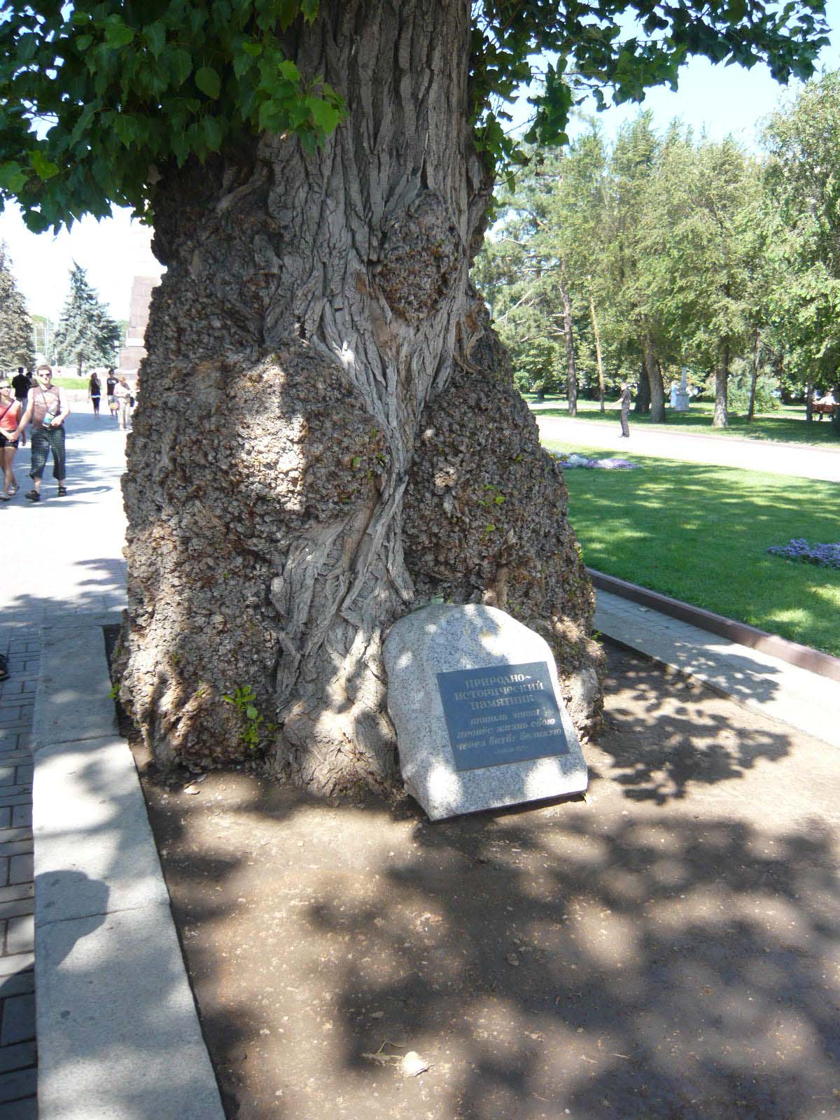 P1020255u.jpg