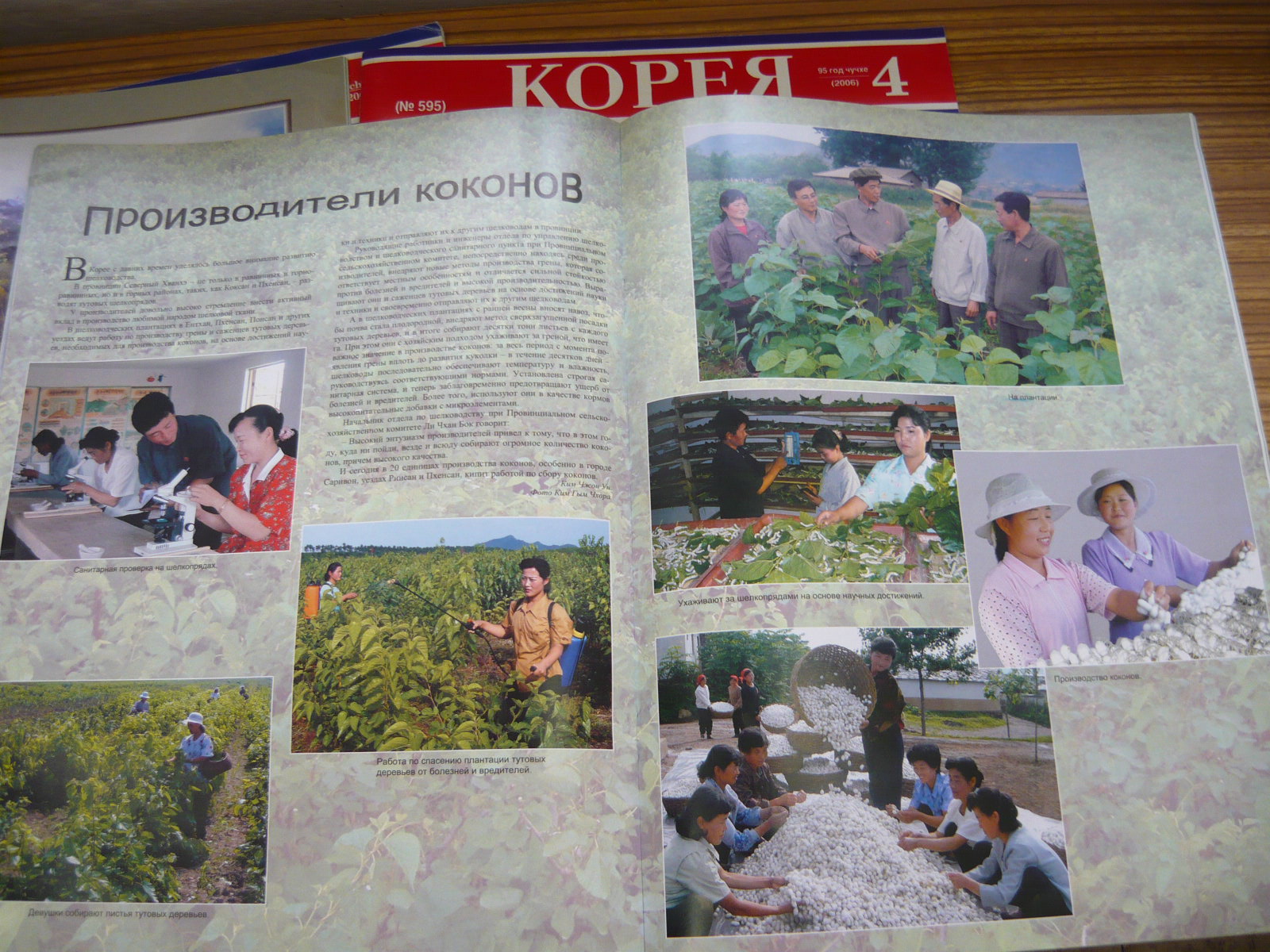 P1030011.JPG